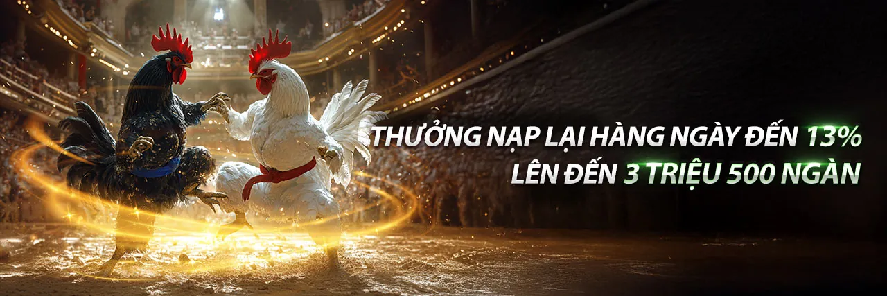 Sân vận động lớn với logo vnxx và khán giả cổ vũ