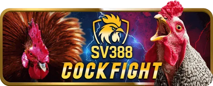 Cá cược thể thao vnxx